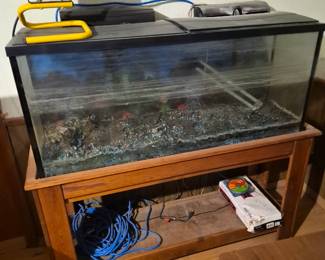 100 gallon tank