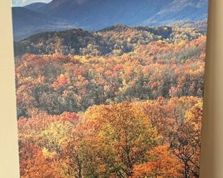 Great Smoky Mountains National Park Fall Foliage Canvas Print