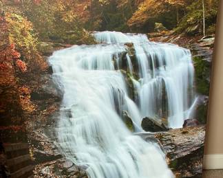 Bald River Falls Canvas Print
