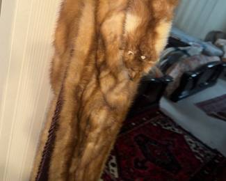 more dead animals