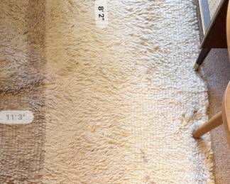 SAFAVIEH Florida Shag Rug with Striped Pattern second image
