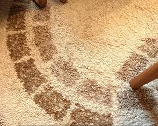 SAFAVIEH Florida Shag Cream or Beige Abstract Area Rug