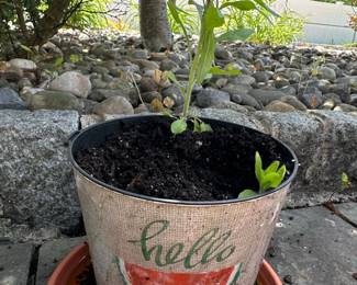 Watermelon Hello Decorative Planter Pot