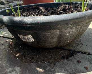 Bloem Terra in. Black Plastic Bowl Planter