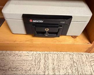 SentrySafe Fireproof and Waterproof Safe