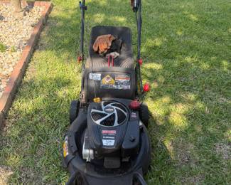 Craftsman CX Platitum 7.75 Push Mower with bag - $75.00