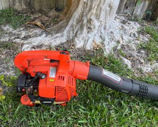 Echo Leaf Blower - $60.00