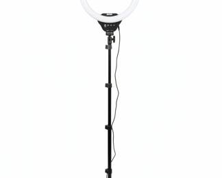 UBeesize Touchable Ring Light