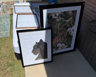 Pictures, frames, twin bed