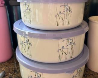 Corelle Coordinates "Shadow Iris" Food Storage Containers