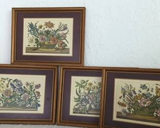 Four Framed Pimpernel Flowers Prints