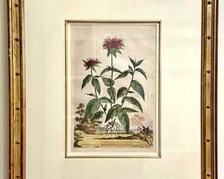 antique lithograph beautifully framed