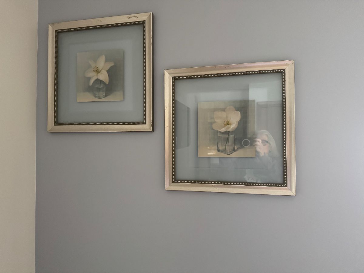 Pictures