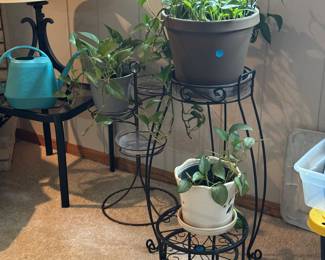 Plants and stands