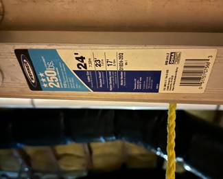 T124 - $200. Werner Model D1824-2EQ. 24' extension ladder with Equalizer Feet