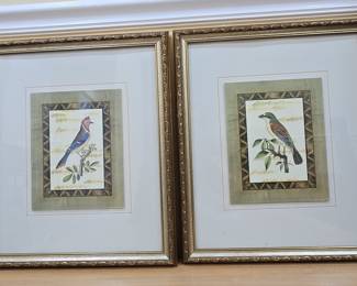 Framed Decorative Bird Prints