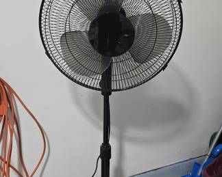 Black Oscillating Pedestal Fan