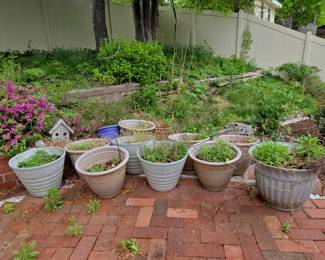 Variety of Planters