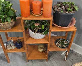 plant stand and plants 