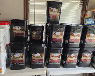 Large. Wise Company. Emergency food supply. Collection.