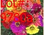 9780a result