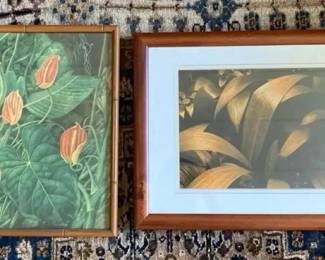 AKC022 - Pair of Vintage Framed Botanical Prints - Anthurium Flowers & Leaves