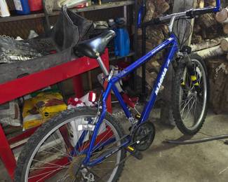 Magna bike 
