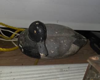 Duck decoy