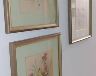 Beautiful set of four lithograph bird pictures