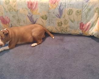 Precious has lost weight!! She's getting her girlish figure back!