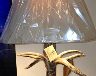 Other Lamp On 