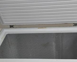 Inside Freezer 