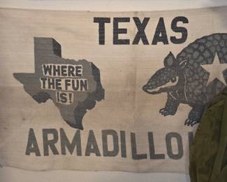 Texas Armadillo Rug