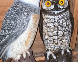 Yard Owls