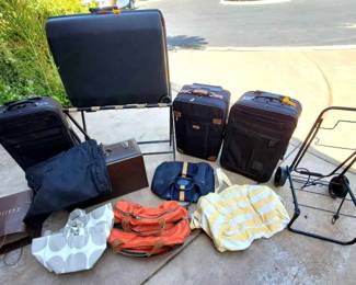 BE221Luggage 