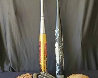 BE206Bats And Gloves And Balls