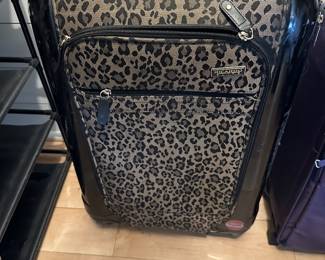 Ricardo Elite suitcase; $18