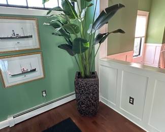 Faux plant 7.5" tall; $50