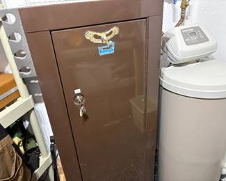 2 gun safes