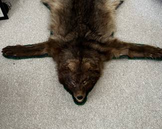 Black Wolf!!!