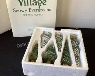Department 56 Village Accessories
