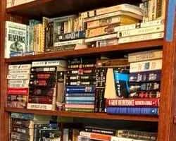 LU171Books  More Books Mystery Lot 4 