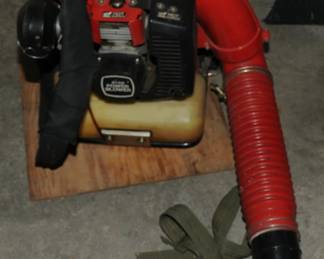 Small Toro Backpack Leaf Blower