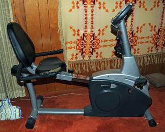 Schwinn Recumbent Exercise Bike