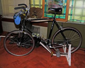 Bike on Exercise Stand 