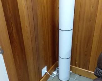 Pair of these floor lamps
