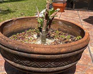Terracotta Planter with Decorative Band