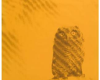 304 After Ryan McGinley (b. 1977) "Owl," 2011 Offset lithograph on yellow poster paper From the edition of unknown size Unsigned, as issued; agnès b., pub. 32.25" H x 21.75" W Estimate: $400 - $600