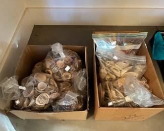 Grab bags of seashells