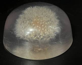 Lucite Dandelion Paperweight- UV reactive